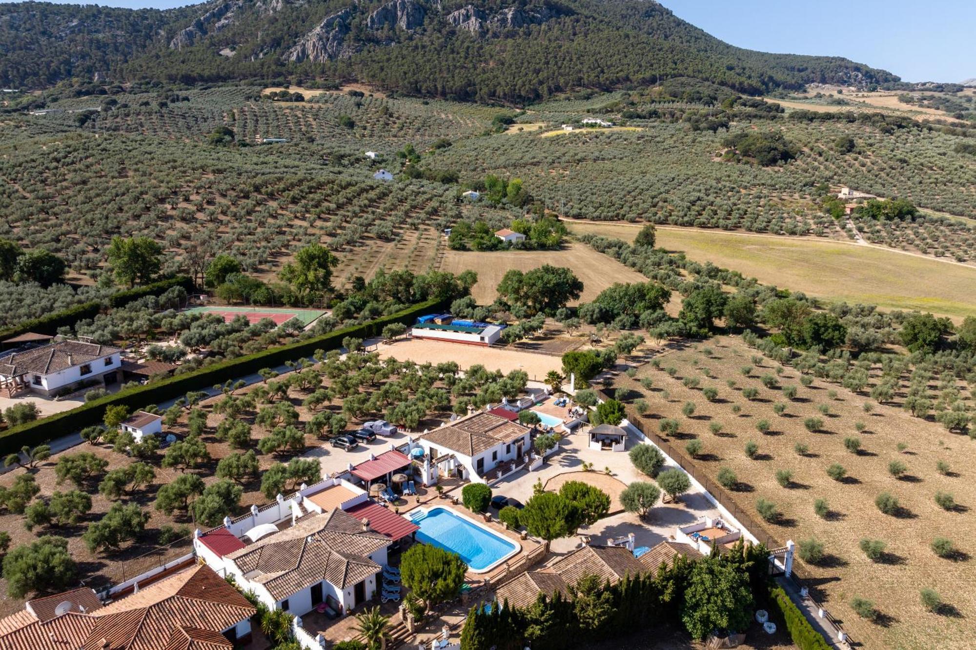Pasa Fina, Luxury Holiday Retreat Вильянуэва-дель-Трабуко Экстерьер фото